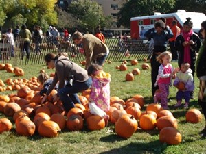 7 Pumpkin Patches in the City - KidTrail Pick