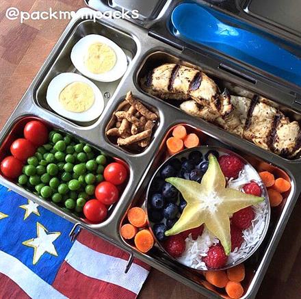 Stainless Steel Bento Lunch Box - KidTrail Find