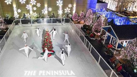 20 Awesome Ice Skating Rinks for Chicago Area Families! - KidTrail Pick